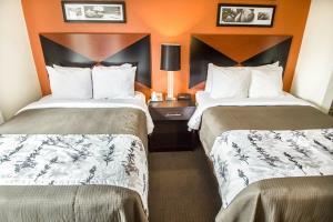 Hotel Sleep Inn Sarasota