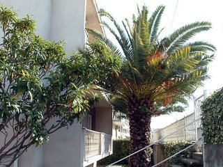Hotel Stijena Apartamenti