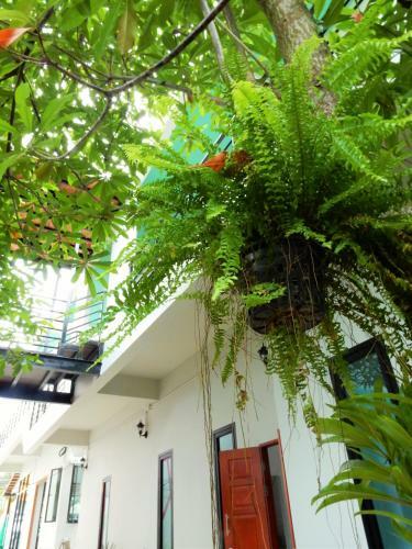 Albergue Wandee Bed & Breakfast