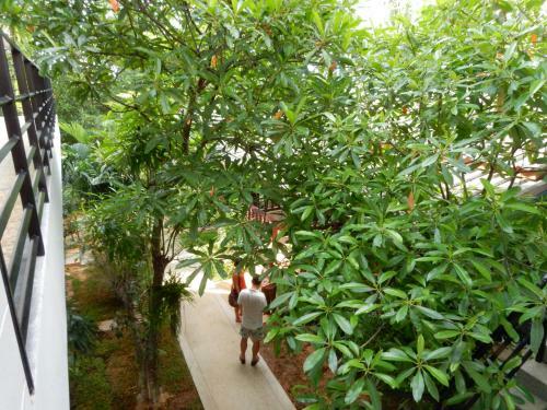 Albergue Wandee Bed & Breakfast