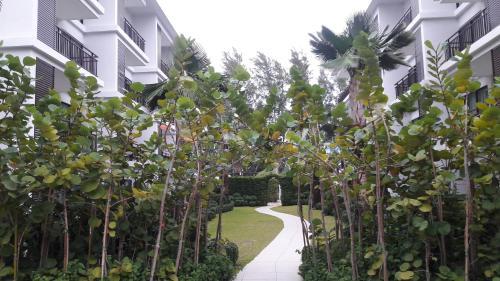 Apartamentos The Title Beach Front