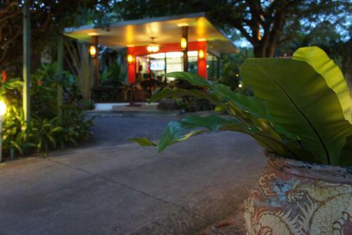 Hotel Palm Village