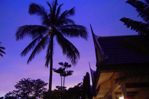 Hotel Palm Village
