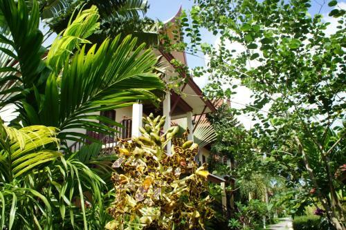 Hotel Palm Village