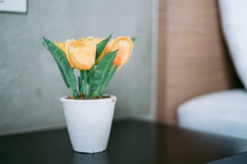 Ray Hotel Buriram