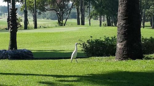 The Imperial Lake View Hotel And Golf Club