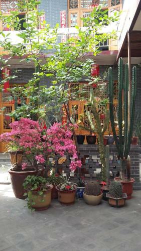Hostal Pingyao Jiaxin Guesthouse