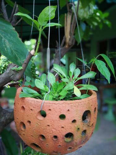 Hotel Baan Bua Guest House