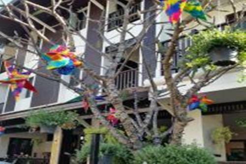 Hotel Bb Mantra Boutique And Budget