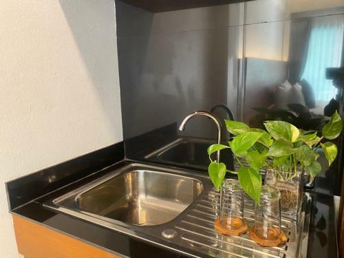 Hotel Lannatree Chiangmai House