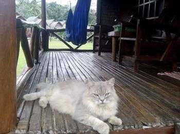 Hotel Lanta Marina Resort