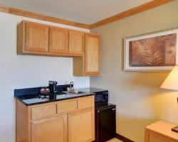 Hotel Ramada Inn Dfw North