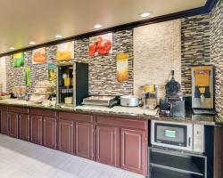 Hotel Ramada Inn Dfw North