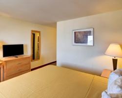 Hotel Ramada Inn Dfw North