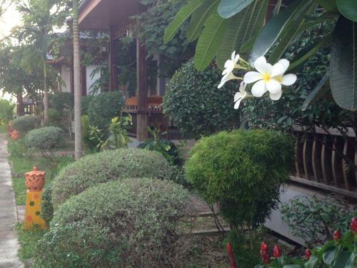 Hotel Khum Laanta Resort