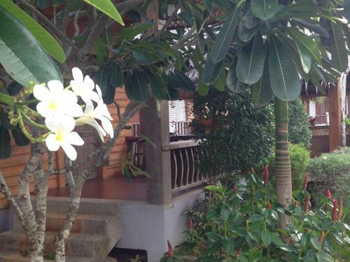 Hotel Khum Laanta Resort