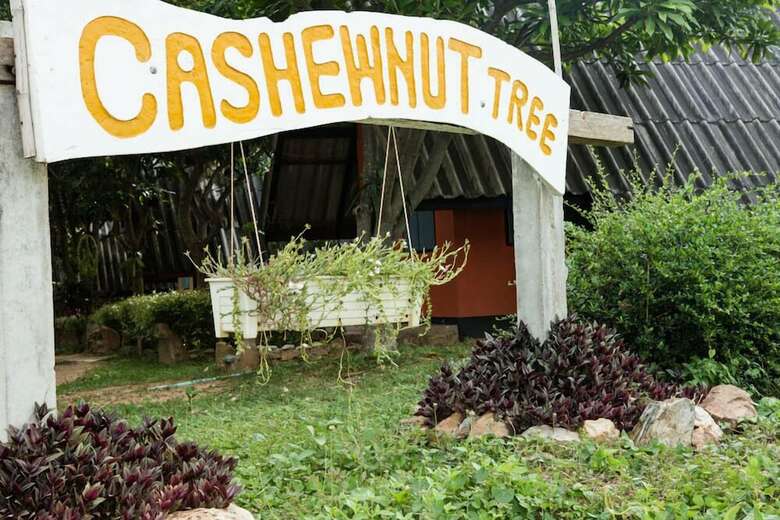 Lodge Cashewnut Tree Bungalows