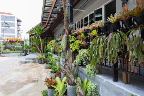 Hotel Krabi Inn & Omm