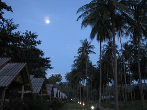 Hotel Green Chilli Bungalows