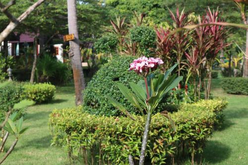 Hotel Rasa Sayang Resort