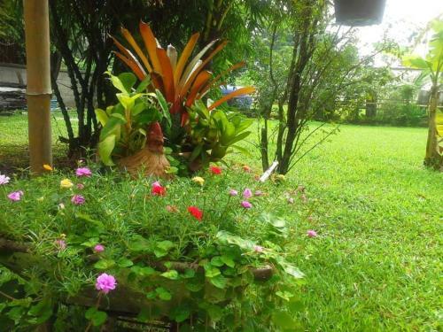 Garden Room Hostel