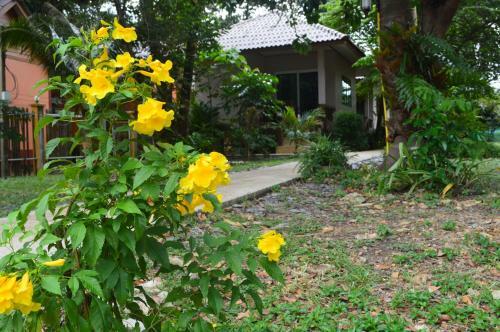 Lodge Baan Long Beach