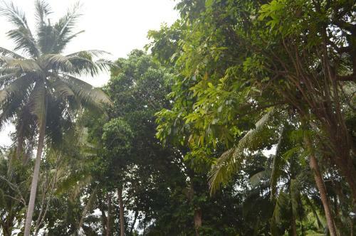 Lodge Baan Long Beach