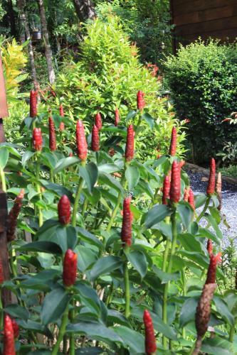 Hotel Lanta Happy Hill