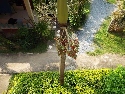 Hotel Lanta Riviera Villa Resort
