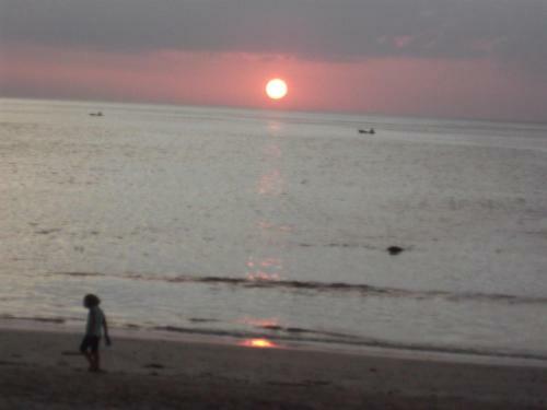 Lanta Bee Garden Bungalow