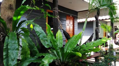 Hotel Lanta New Coconut Bungalow