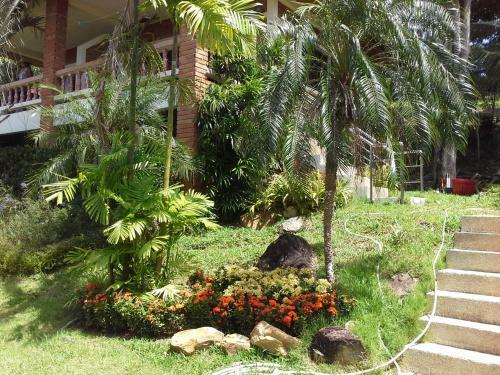 Apartamentos Freedom Estate