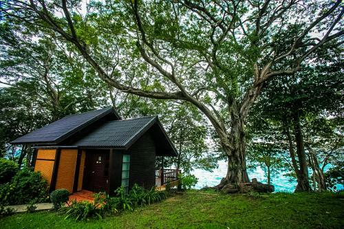 Hotel Phi Phi Natural Resort