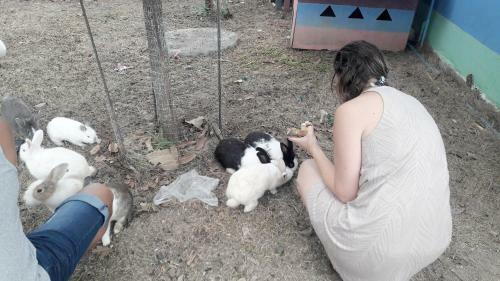 Hotel Paramee Inn Pai