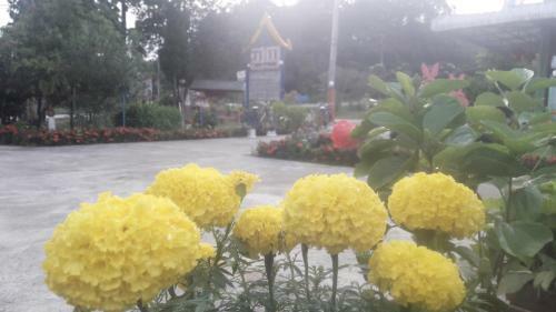 Hotel Paramee Inn Pai