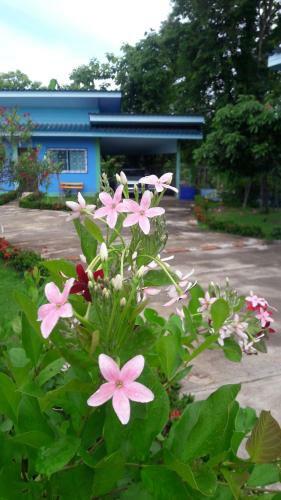 Hotel Paramee Inn Pai