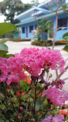 Hotel Paramee Inn Pai
