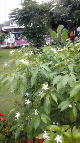Hotel Paramee Inn Pai