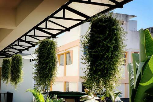 Hostal Tk Guest House