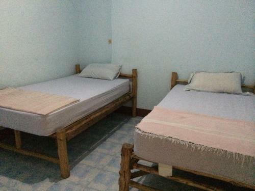 Hostal Kiwi Orchid & Pl Guesthouse