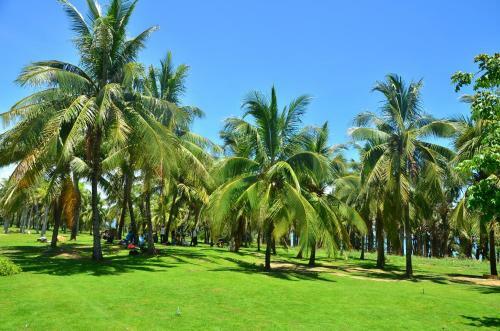 Sanya Blue Ocean Yefeng Seaview Apartment