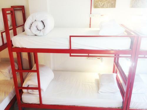 Safe And Sound Hostel