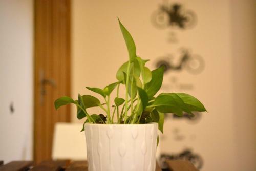 Apartamento Lulun Hotel