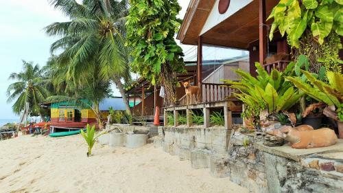 Hotel King Busch Reggae Beach