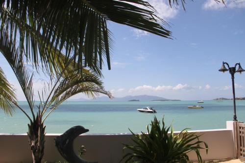 Hostal The Boardroom Beach Bungalows