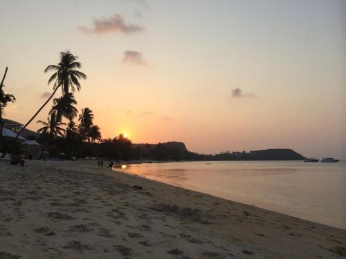Hostal The Boardroom Beach Bungalows