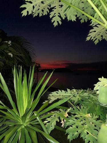 Hostal The Boardroom Beach Bungalows