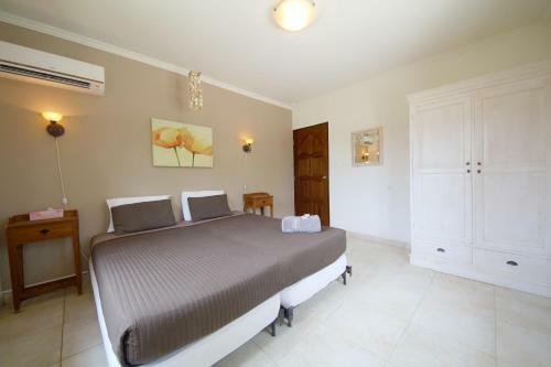 Aruba Dream Villa