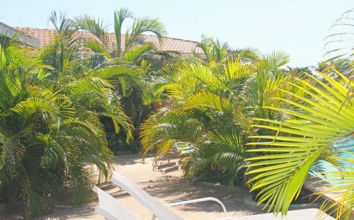 Apartamento La Boheme Aruba