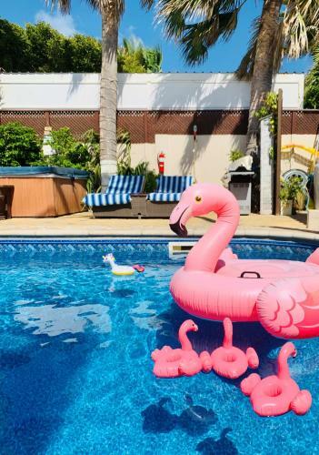 Apartamento Aruba Sunset Beach Studios